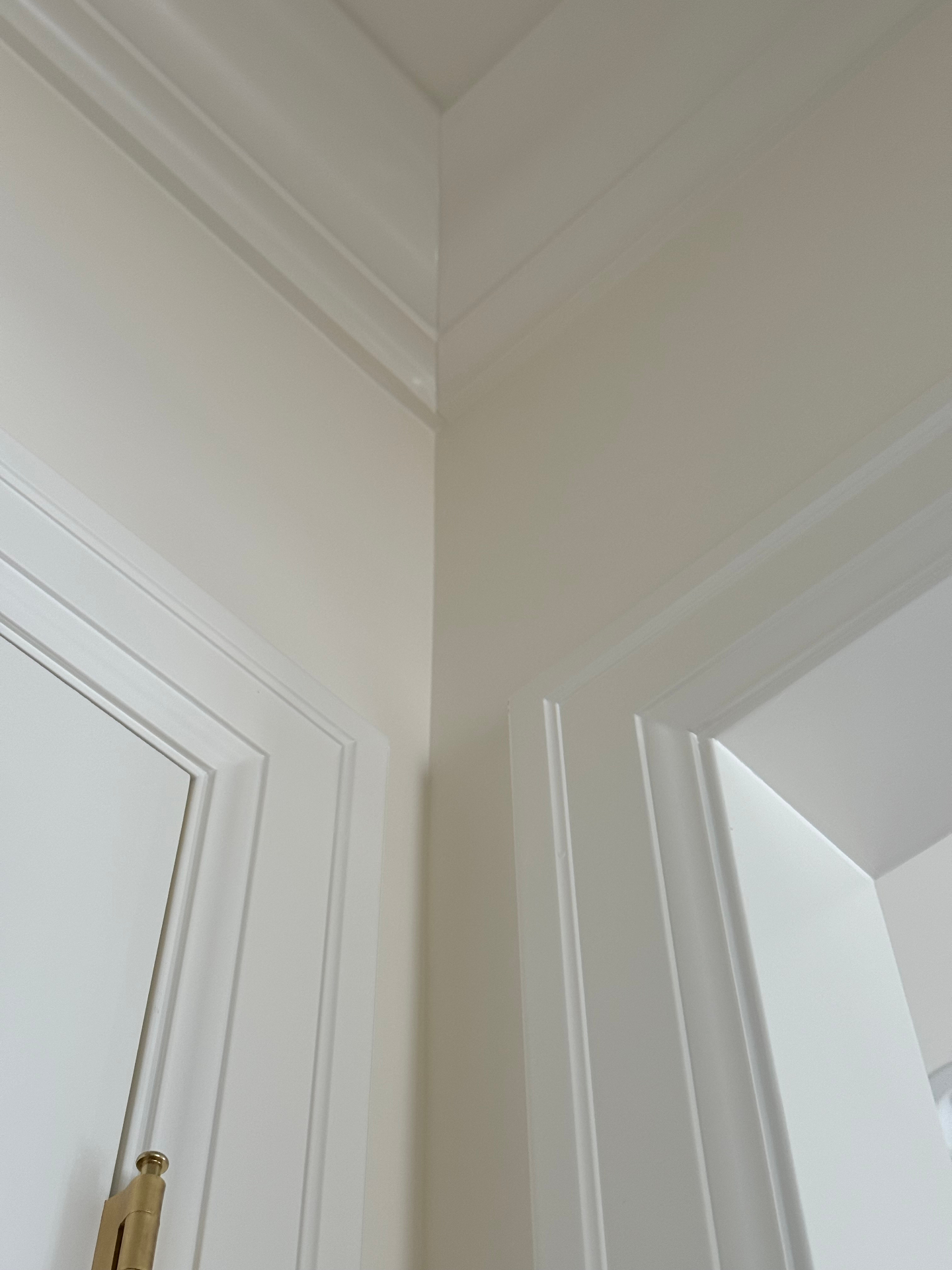 Crown Over Paneled Doors